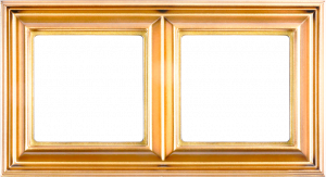 JUNG Eco Profi DECO Рамка 2 поста золото
